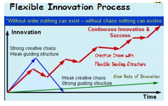Flexible innovation process