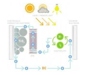 Functioning of a Dye - Sensitized Solar Cell (DSSC)